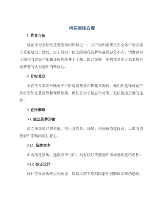 棉花宣传方案
