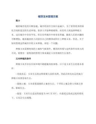 楼顶玉米管理方案