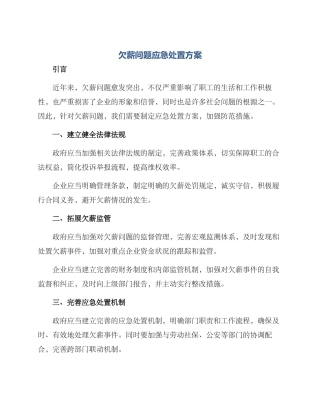 欠薪问题应急处置方案