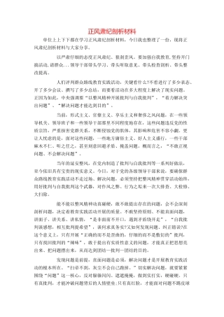正风肃纪剖析材料