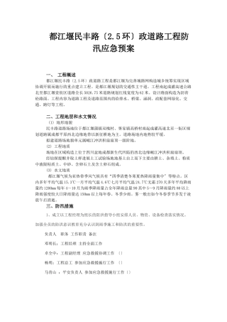 民丰路防洪应急预案