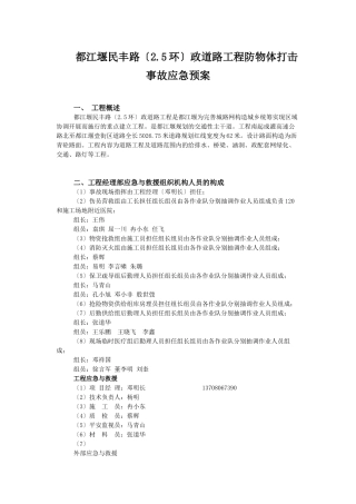 民丰路防物体打击事故应急预案