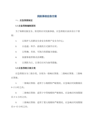 民航事故应急方案