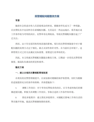 民警婚配问题整改方案