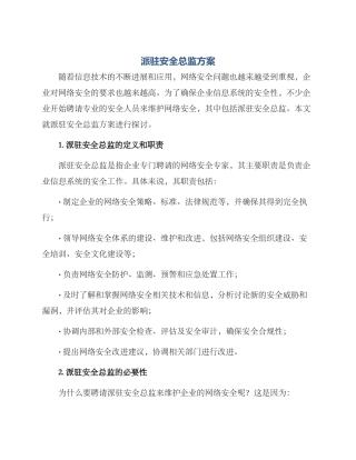 派驻安全总监方案