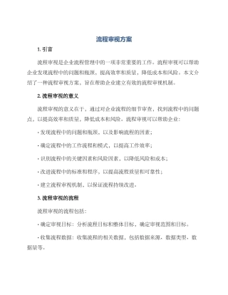 流程审视方案