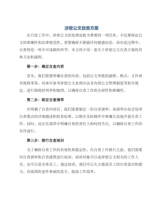 涉密公文自查方案