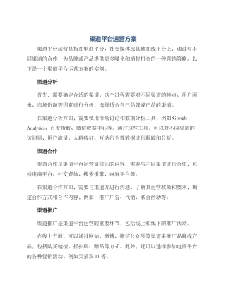渠道平台运营方案