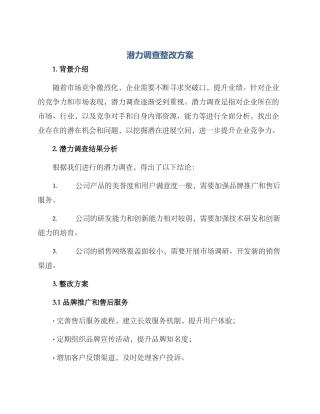 潜力调查整改方案