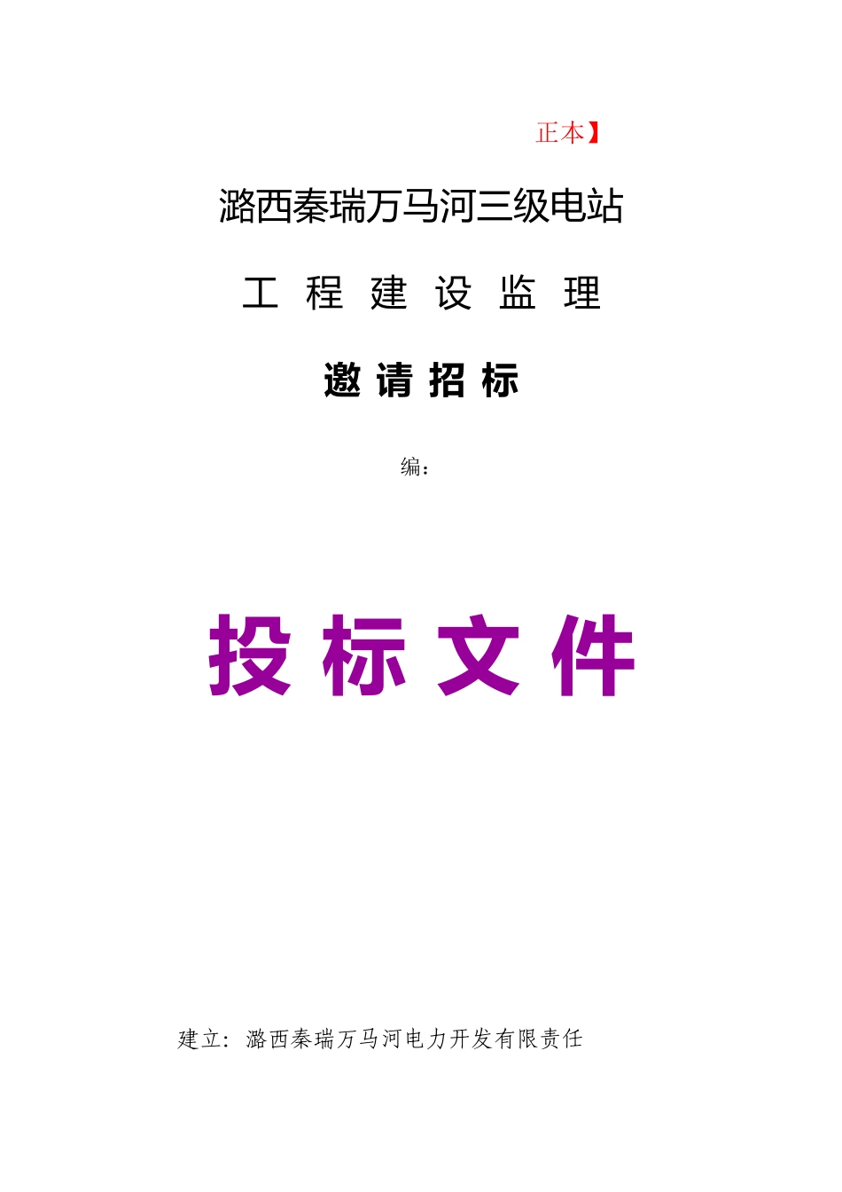 潞西市秦瑞万马河三级电站工程建设监理招标文件_第1页