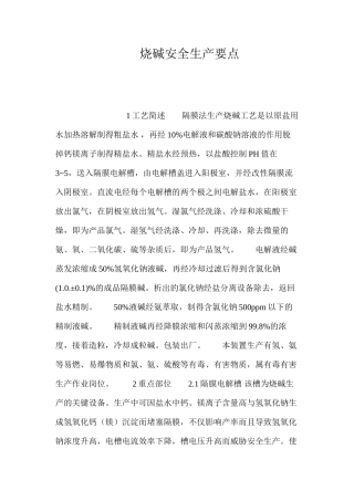 烧碱安全生产要点