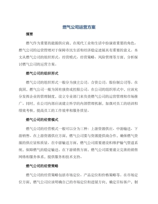 燃气公司运营方案