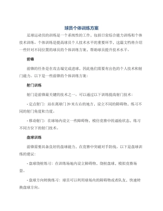 球员个体训练方案