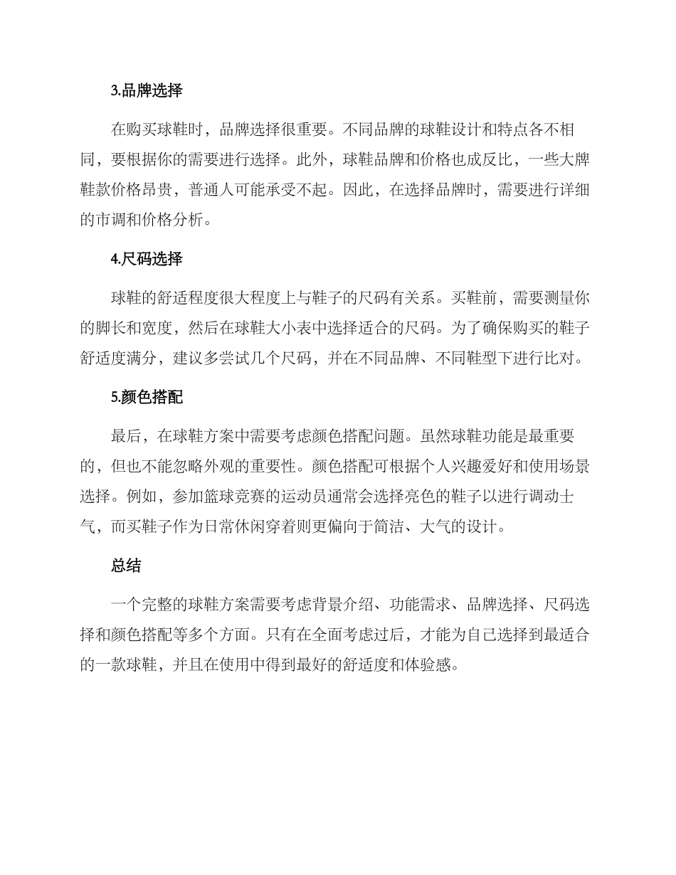 球鞋方案格式_第2页