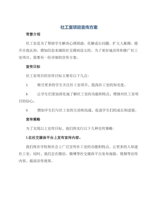 社工室项目宣传方案
