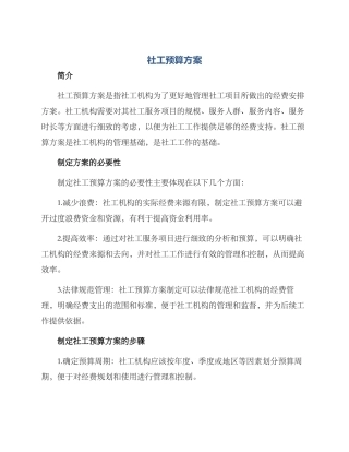 社工预算方案