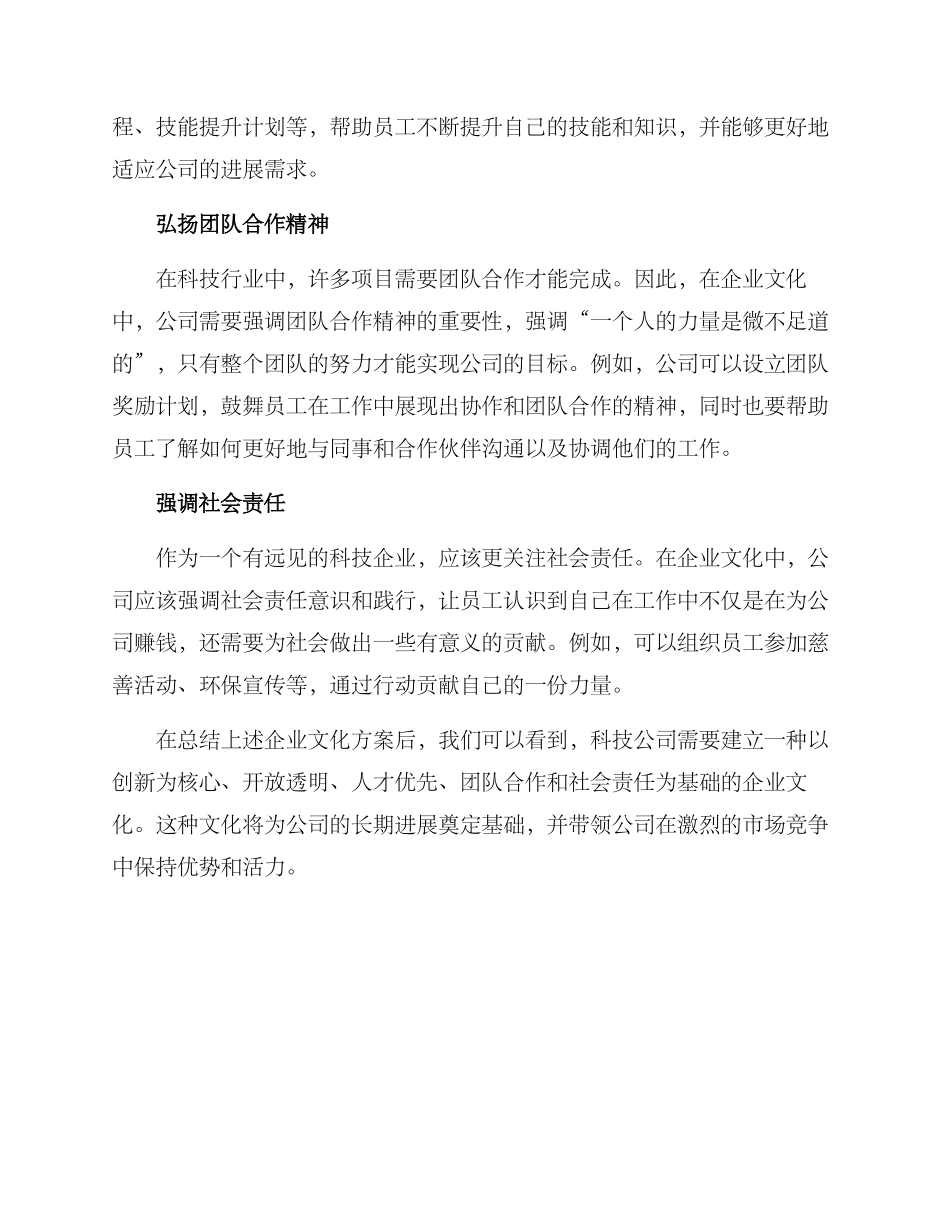 科技公司企业文化方案_第2页