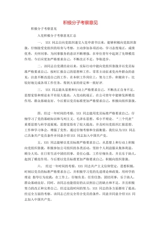 积极分子考察意见