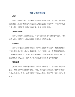 竞争公司运营方案