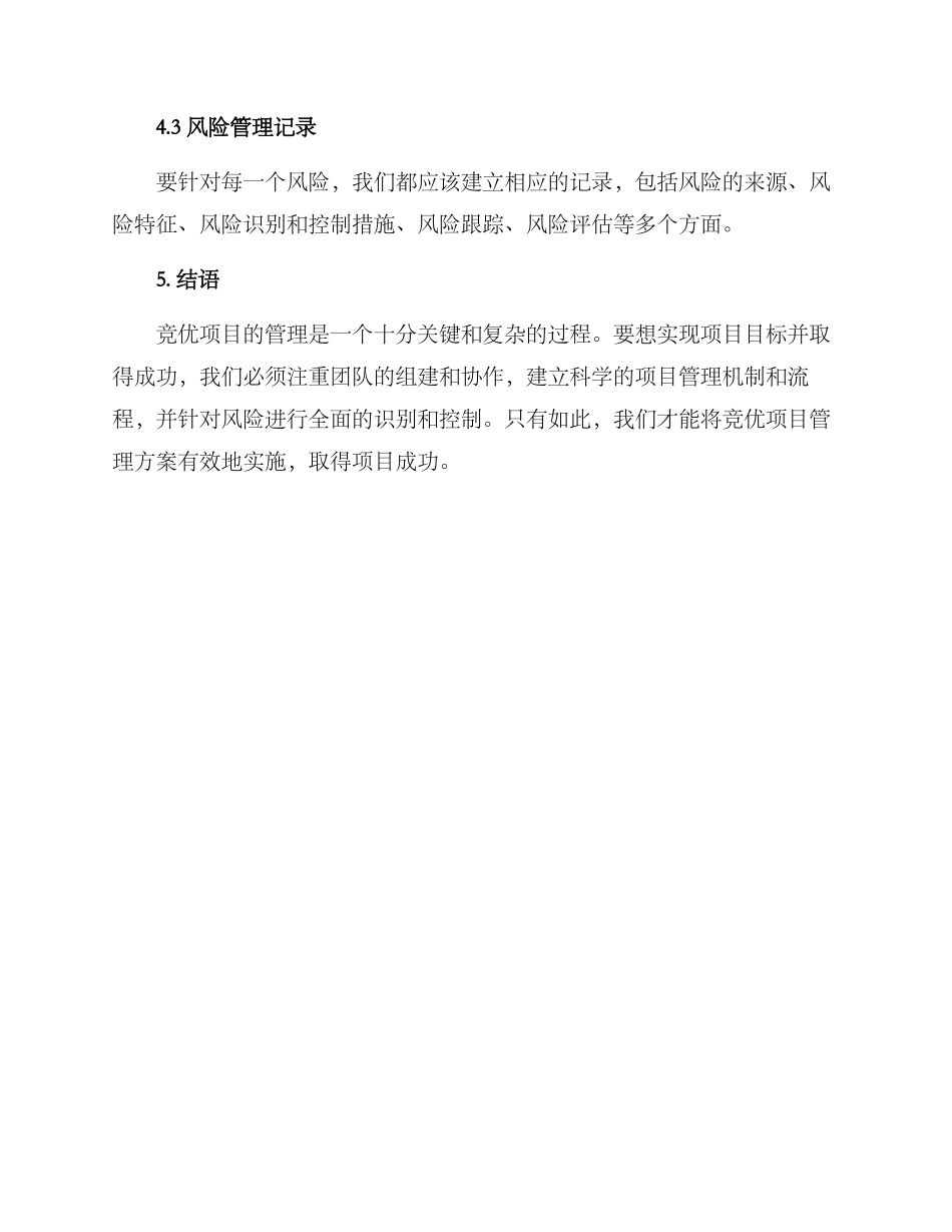 竞优项目管理方案_第3页