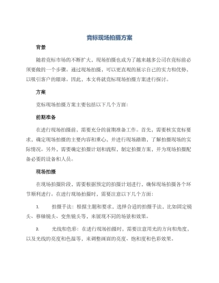 竞标现场拍摄方案