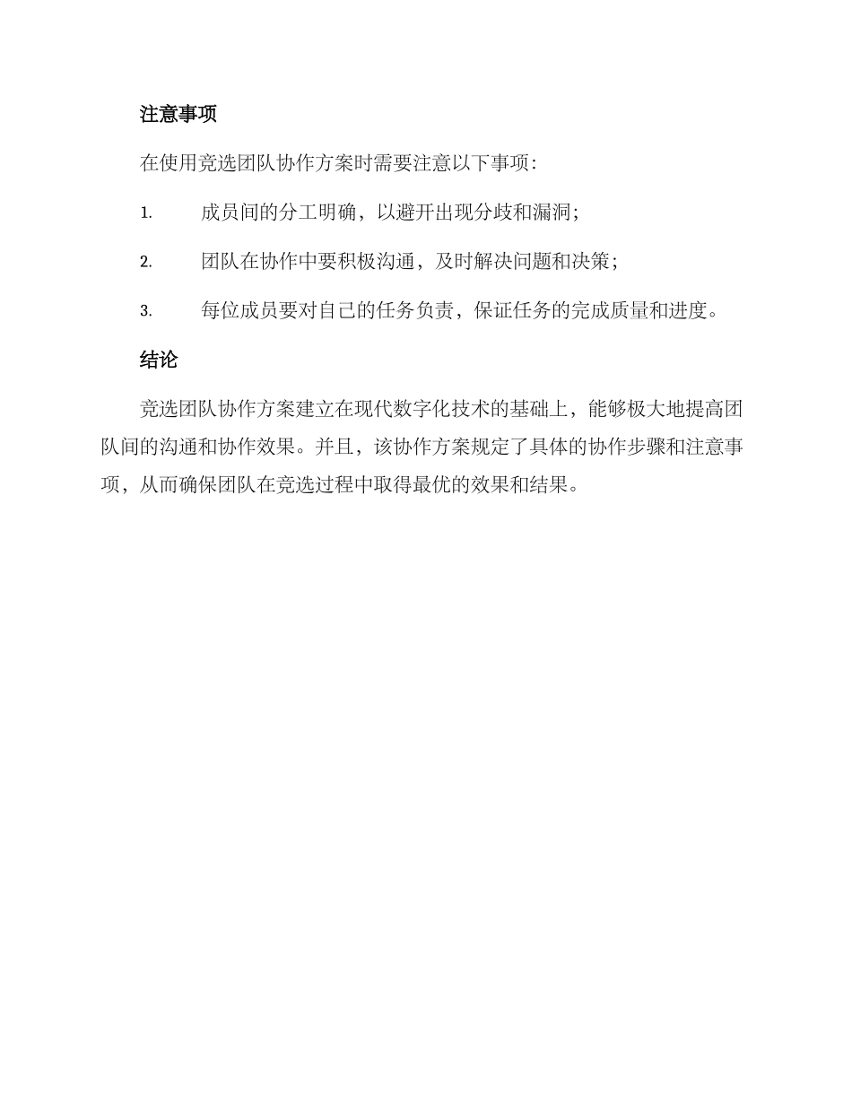 竞选团队协作方案_第3页