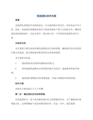 竞选团队协作方案