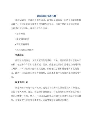 篮球球队打造方案