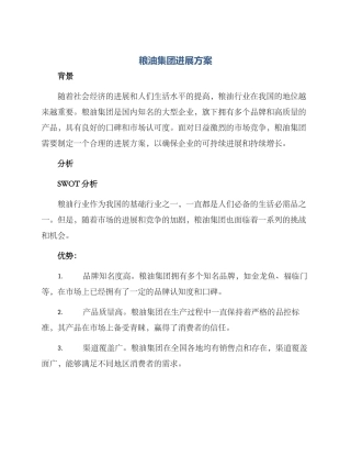 粮油集团发展方案