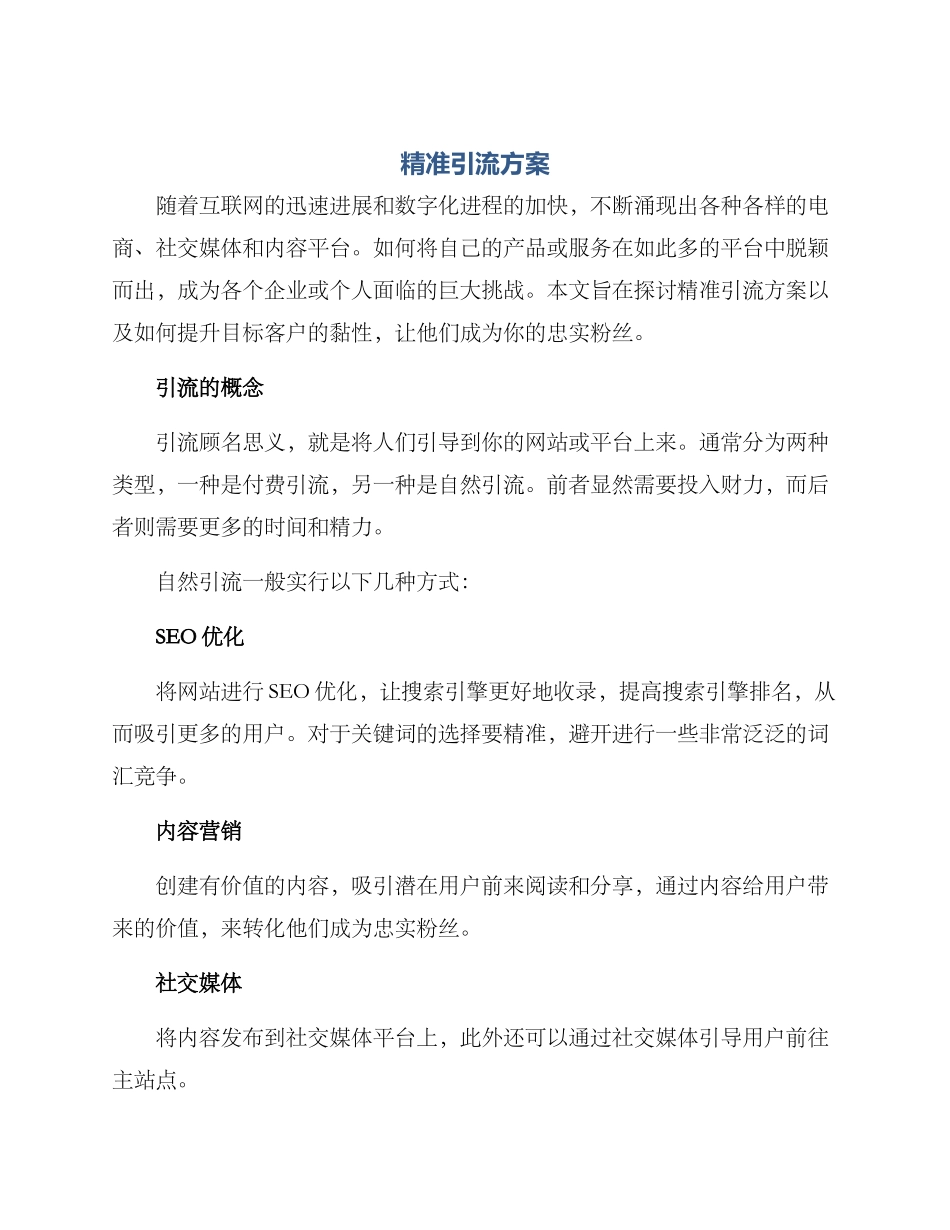 精准引流方案_第1页
