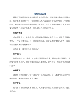 精准引流方案