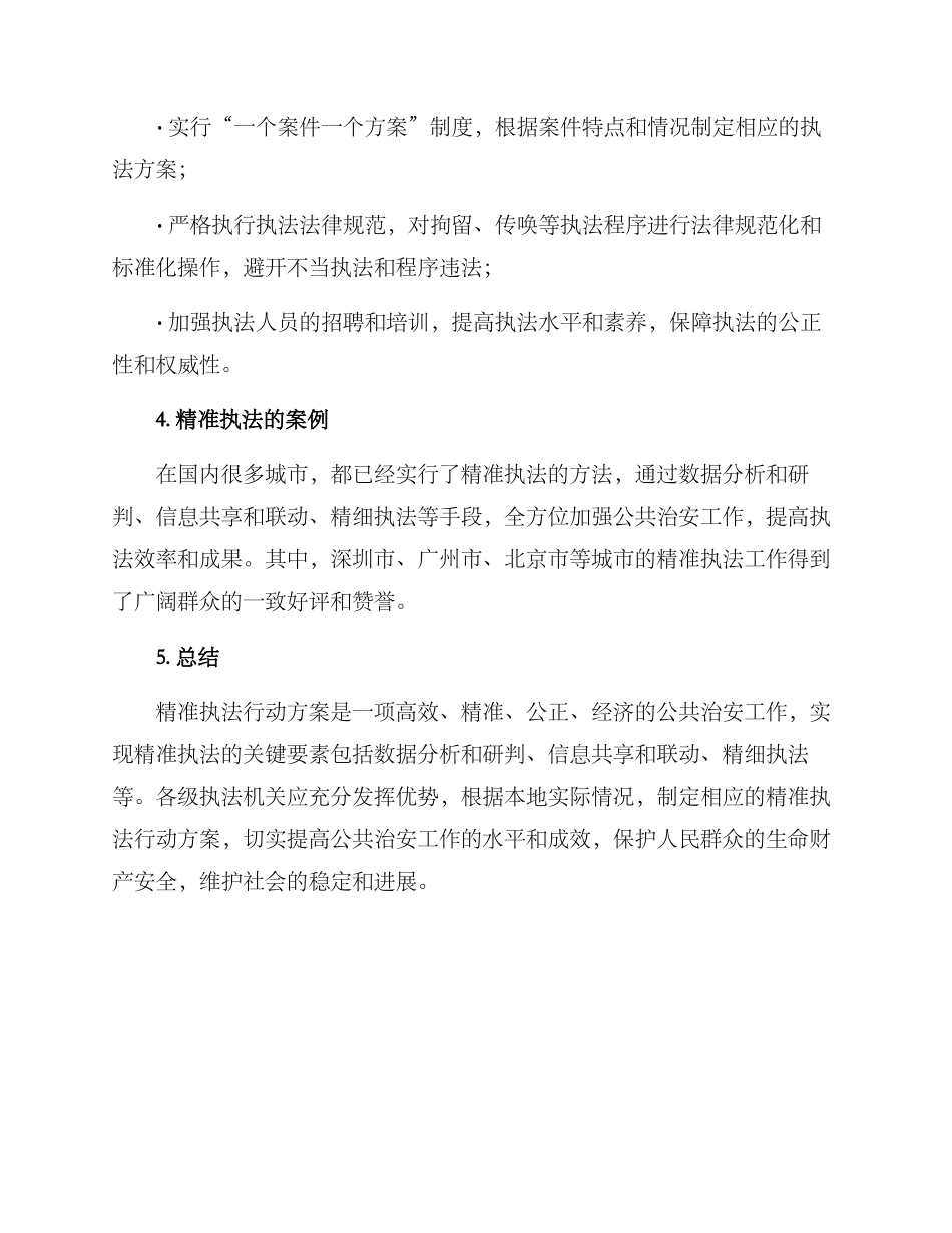 精准执法行动方案_第3页