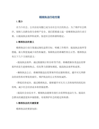 精准执法行动方案