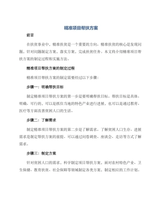 精准项目帮扶方案