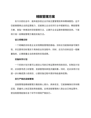 精致管理方案