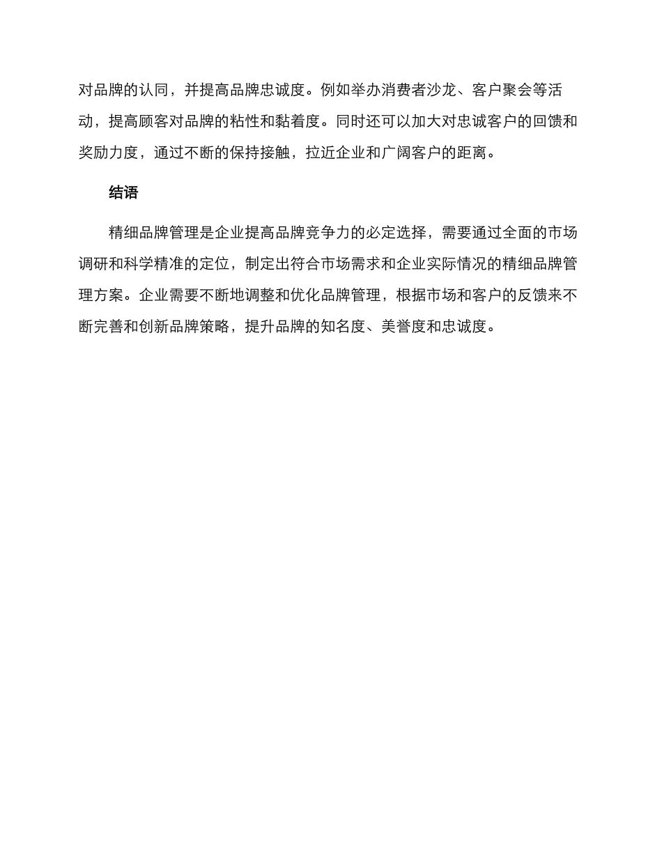 精细品牌管理方案_第3页