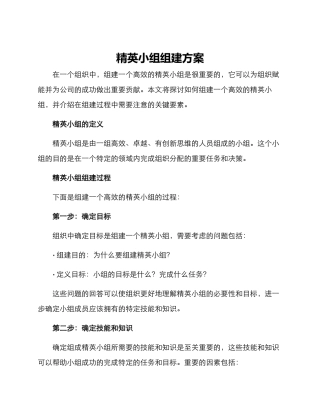 精英小组组建方案