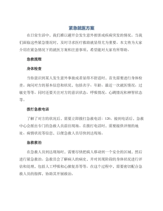 紧急就医方案