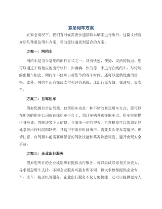 紧急用车方案