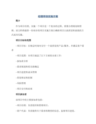 经理项目实施方案