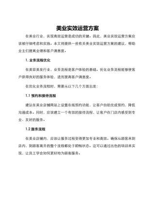 美业实效运营方案