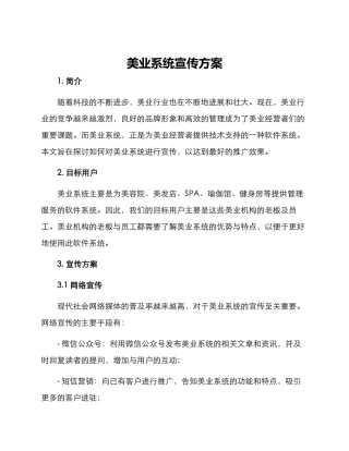 美业系统宣传方案