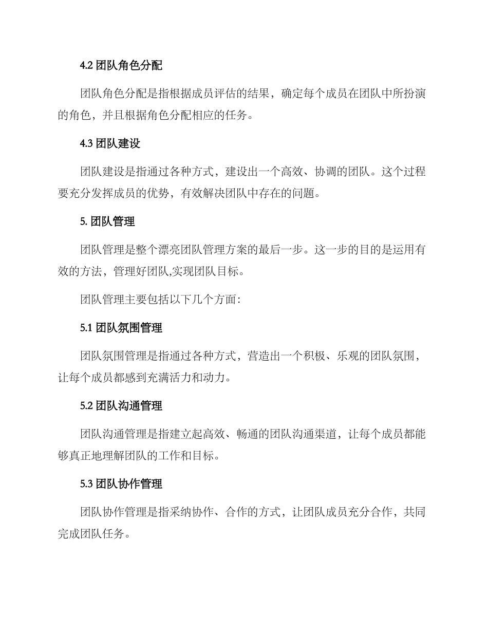 美丽团队管理方案_第3页