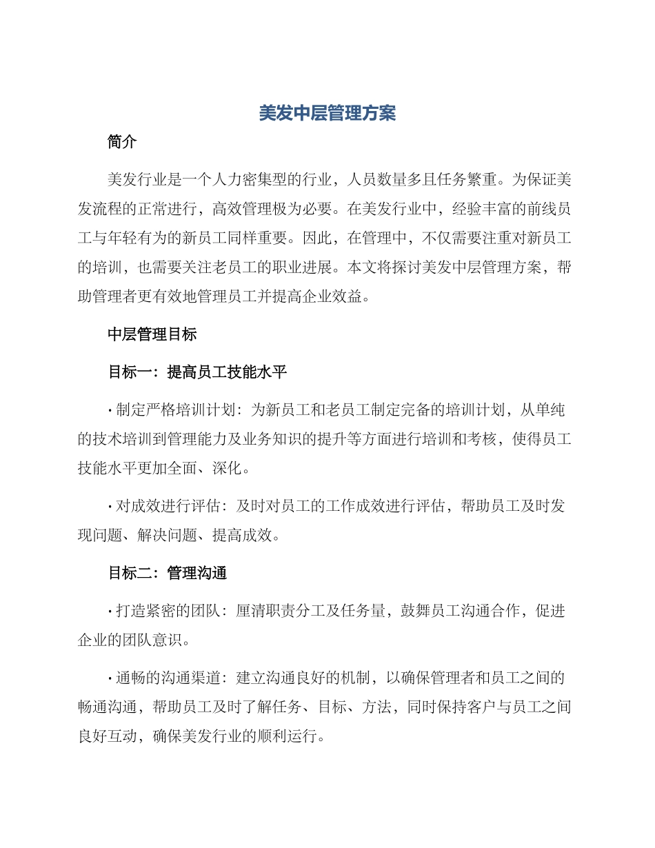 美发中层管理方案_第1页