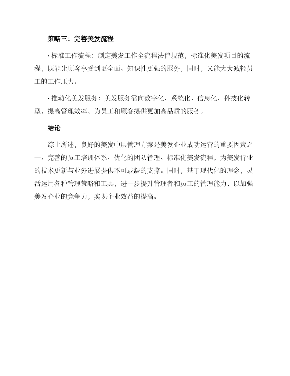 美发中层管理方案_第3页