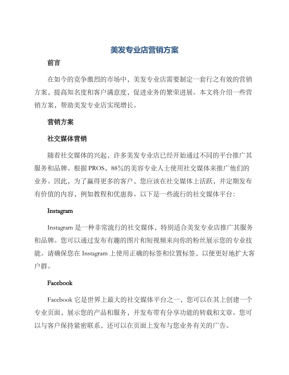 美发专业店营销方案_第1页