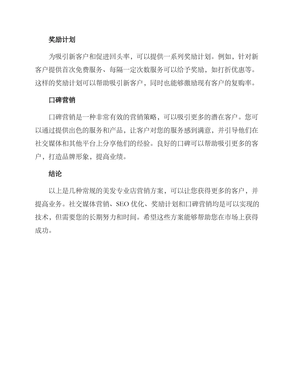 美发专业店营销方案_第3页