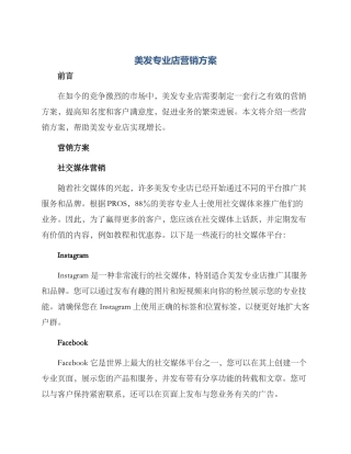 美发专业店营销方案