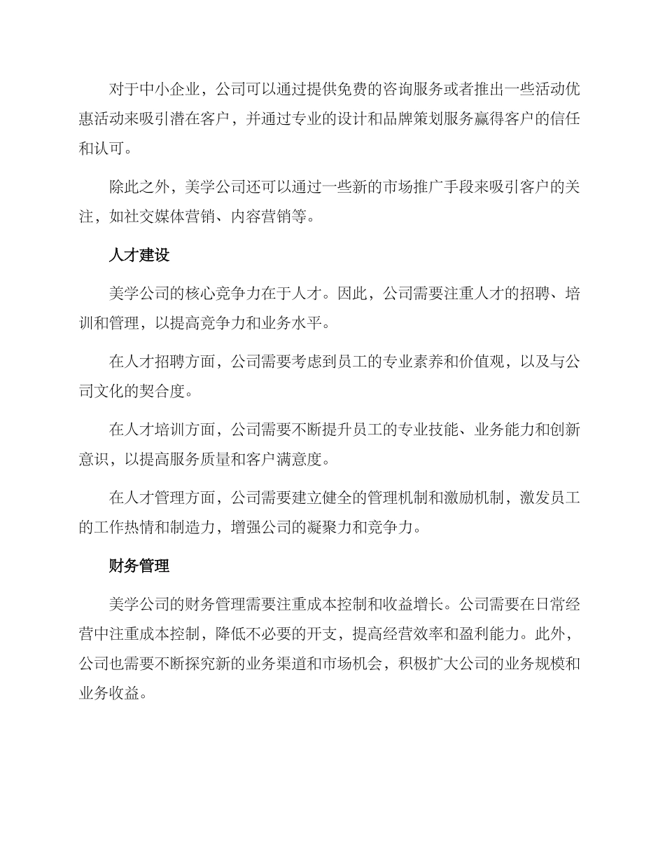 美学公司运营方案_第2页