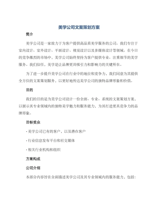 美学公司文案策划方案